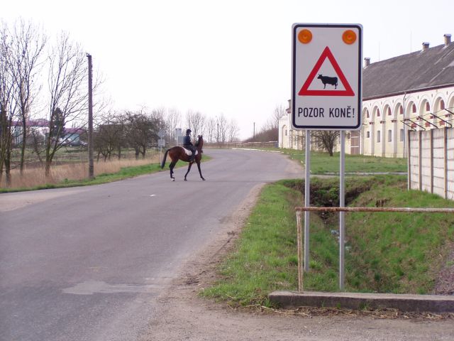 znaka pozor kon